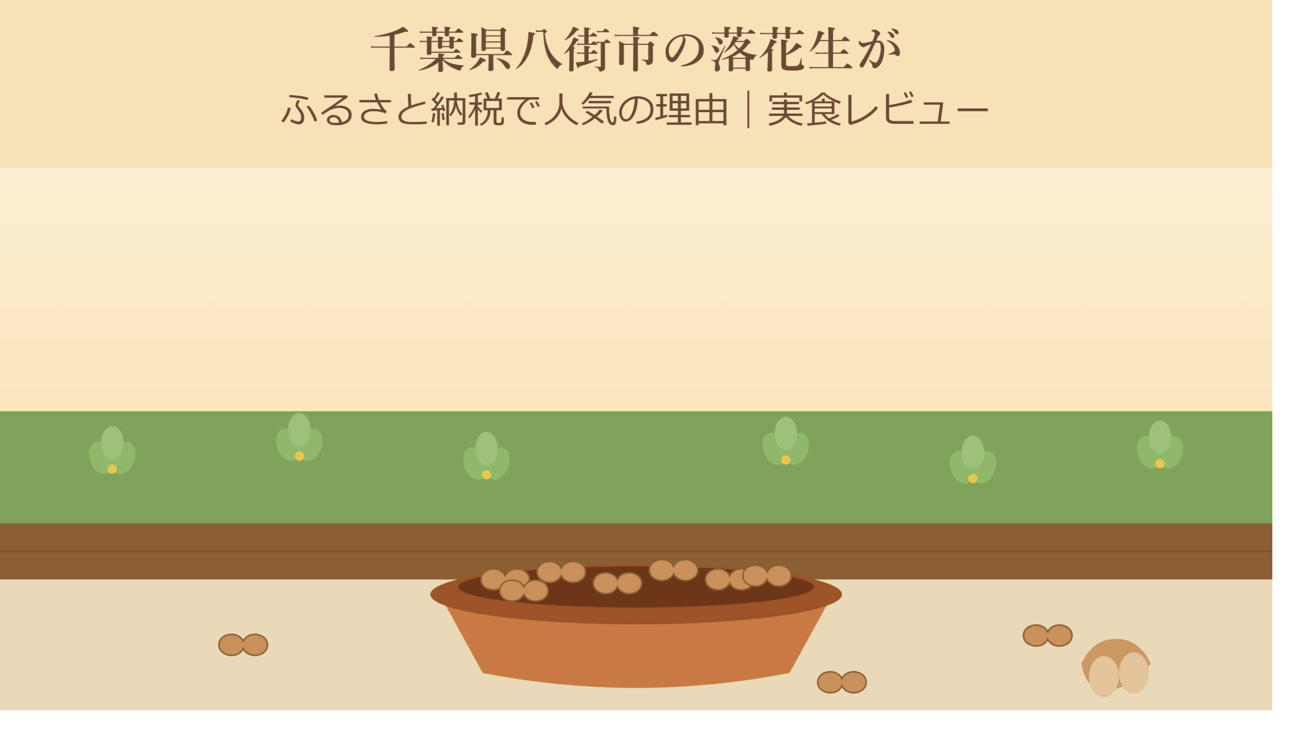 千葉県八街市の落花生
